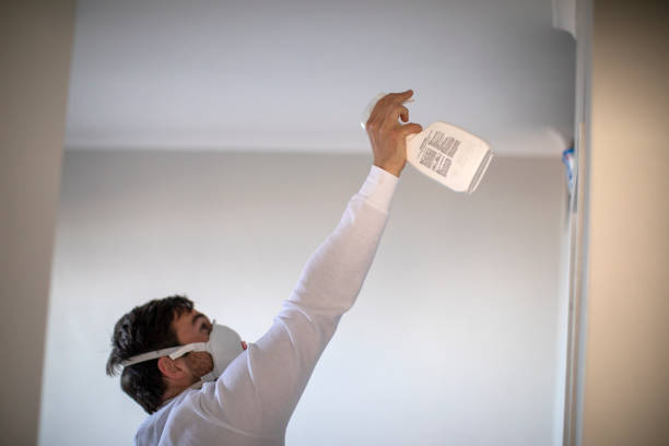 Best Same-Day Mold Removal  in Knightsen, CA