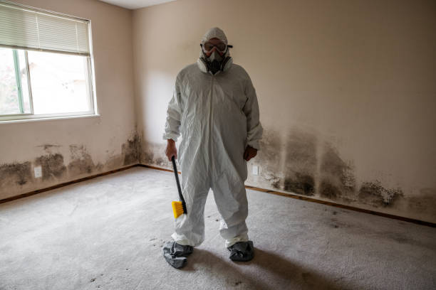 Best Toxic Mold Removal  in Knightsen, CA